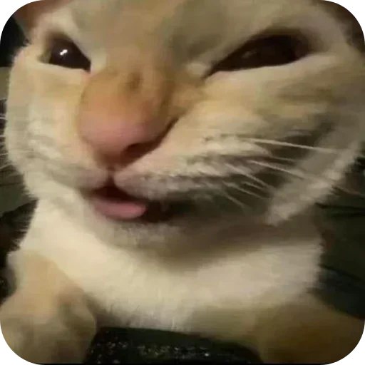 Muehehe