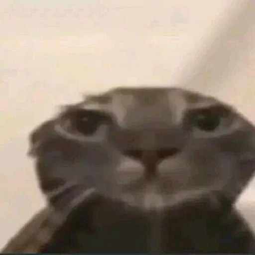 Uhh
